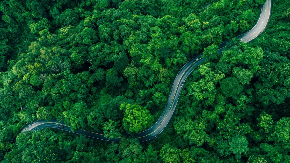 Een slingerende weg door een groen landschap