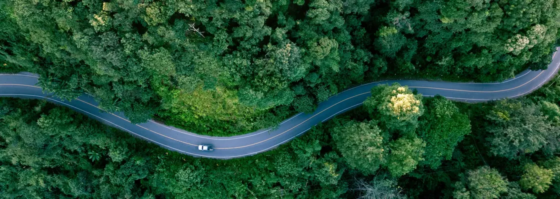 Een weg die door een dicht groen landschap loopt
